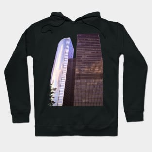 Battery Park Manhattan Skyscrapers NYC Hoodie